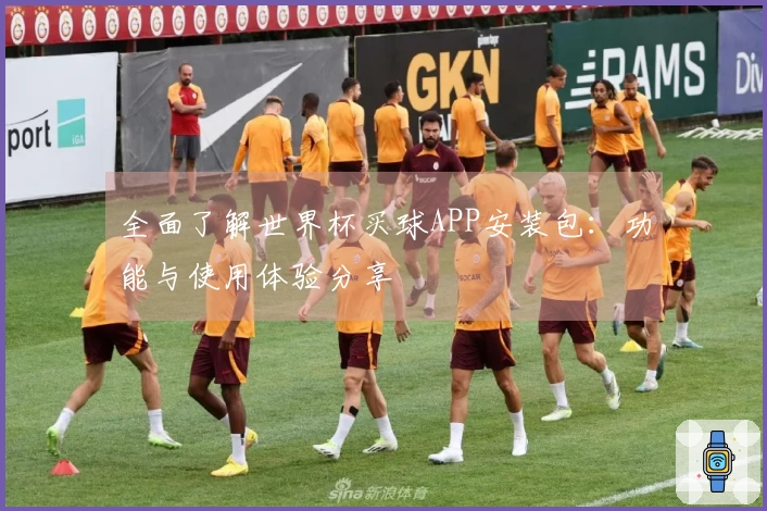 全面了解世界杯买球APP安装包：功能与使用体验分享