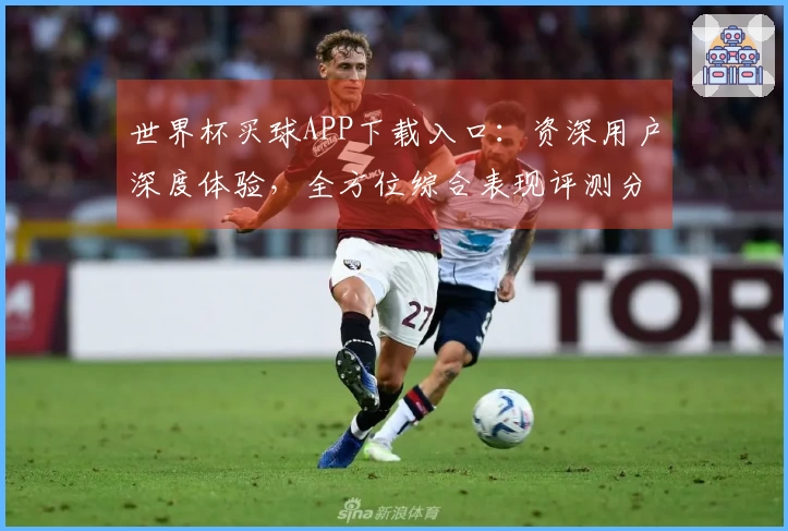 世界杯买球APP下载入口：资深用户深度体验，全方位综合表现评测分享