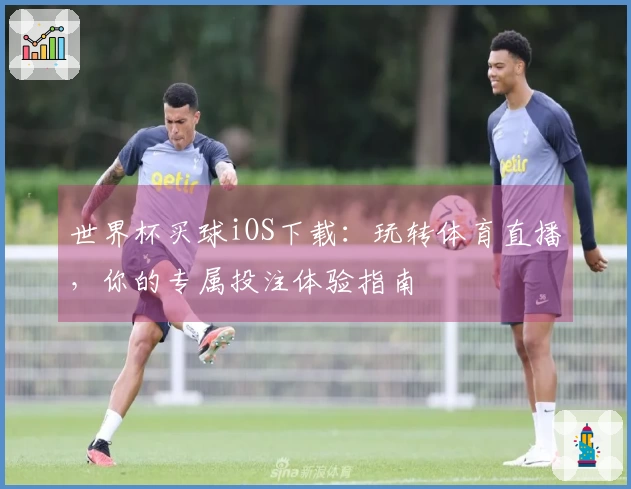 世界杯买球iOS下载：玩转体育直播，你的专属投注体验指南