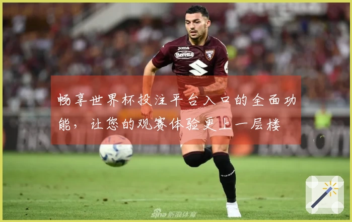 畅享世界杯投注平台入口的全面功能，让您的观赛体验更上一层楼